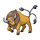 Tauros w grze Pokemon HeartGold
