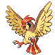 Pidgeotto w grze Platinum