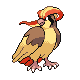 Pidgeot w grze Platinum