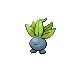 Oddish w grze Pokemon Platinum