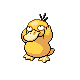 Psyduck w grze Pokemon Platinum