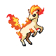 Ponyta w grze Pokemon Platinum