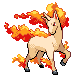 Rapidash w grze Platinum