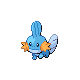 Mudkip w grze Platinum