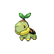 Turtwig w grze Platinum