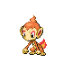 Chimchar w grze Platinum
