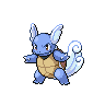 Wartortle w grze Black / White