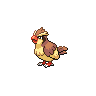 Pidgey w grze Black / White