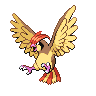 Pidgeotto w grze Black / White