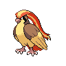 Pidgeot w grze Black / White