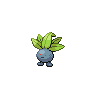 Oddish w grze Black / White