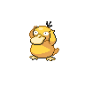 Psyduck w grze Pokemon Black 2