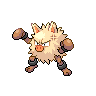 Primeape w grze Black / White