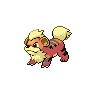 Growlithe w grze Pokemon Black 2