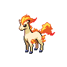 Ponyta w grze Black / White