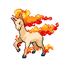 Rapidash w grze Pokemon Black