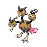 Dodrio w grze Black / White