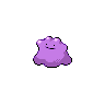 Ditto w grze Pokemon Black 2