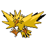 Zapdos w grze Black / White