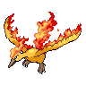 Moltres w grze Black / White