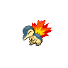 Cyndaquil w grze Black / White