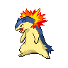 Typhlosion w grze Black / White