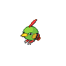 Natu w grze Black / White