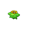 Skiploom w grze Black / White