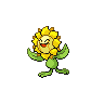 Sunflora w grze Pokemon Black