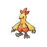 Combusken w grze Black / White