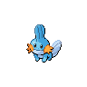 Mudkip w grze Black / White