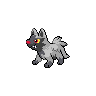 Poochyena w grze Black / White