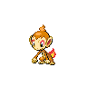 Chimchar w grze Black / White