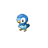 Piplup w grze Black / White