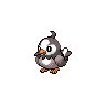 Starly w grze Black / White