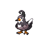 Staravia w grze Black / White