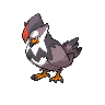 Staraptor w grze Black / White