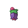 Cherrim w grze Pokemon Black