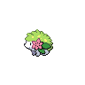Shaymin w grze Black / White