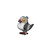 Pidove w grze Black / White
