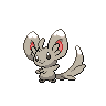 Minccino w grze Black / White