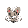 Cinccino w grze Black / White