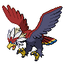 Braviary w grze Black / White