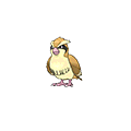 Pidgey w grze Omega Ruby / Alpha Sapphire