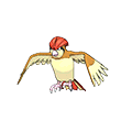 Pidgeotto w grze Omega Ruby / Alpha Sapphire