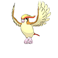 Pidgeot w grze Omega Ruby / Alpha Sapphire