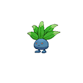 Oddish w grze Pokemon Alpha Sapphire