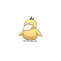 Psyduck w grze Pokemon Alpha Sapphire