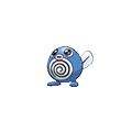 Poliwag w grze Omega Ruby / Alpha Sapphire