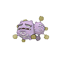 Weezing w grze Omega Ruby / Alpha Sapphire